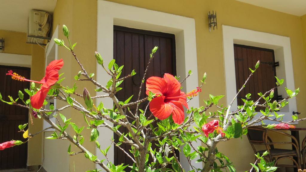 dal travel Villa Medusa