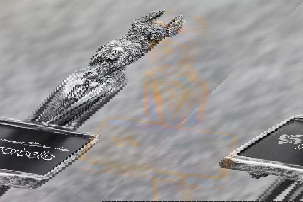 Hotel Vientos De Marbella