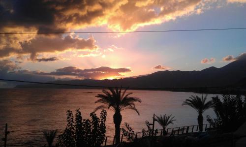 dal travel Kostas Apartments