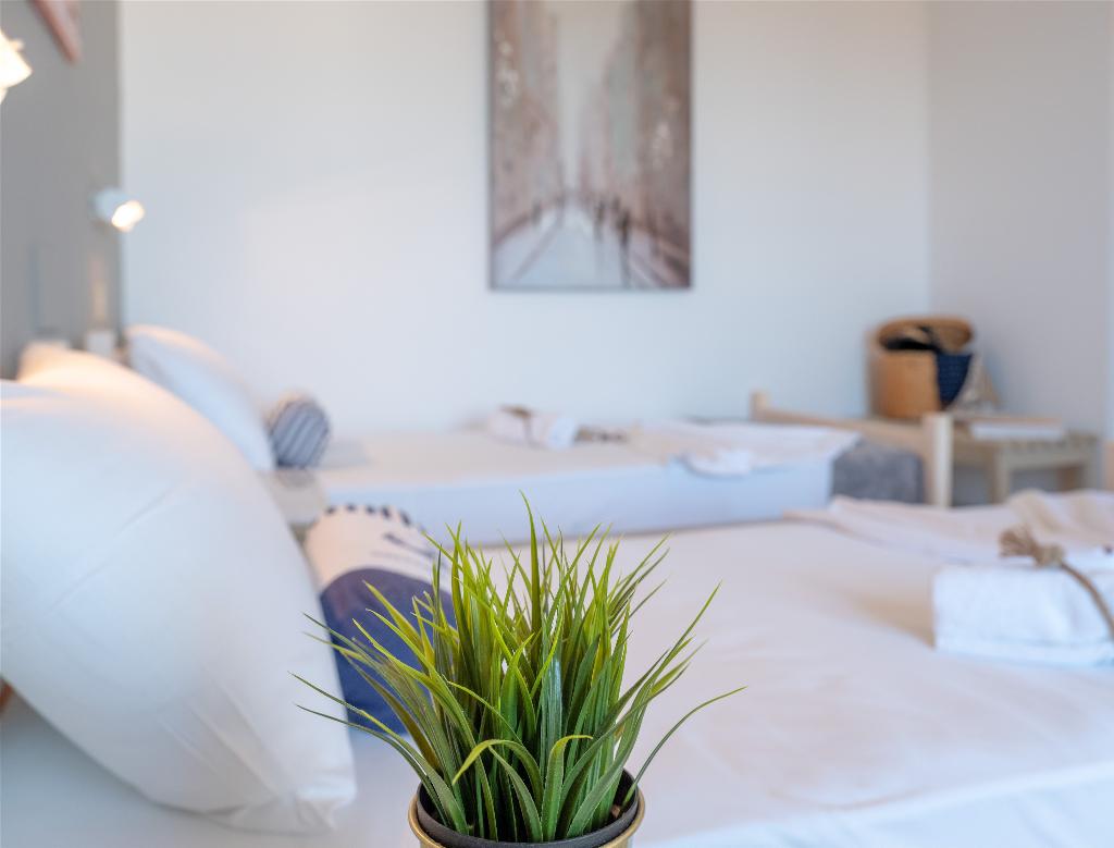 dal travel Pasiphae Hotel Malia