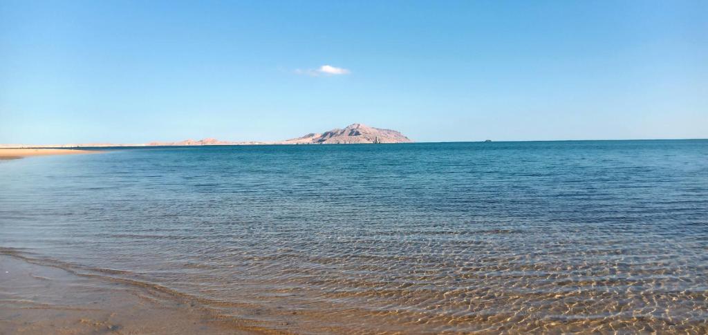 dal travel Sharm Bride Resort