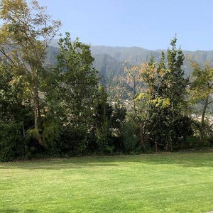 Hotel Casa Yanes Casas Rurales cazare La Palma del Condado