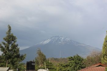 Arusha Giraffe Lodge