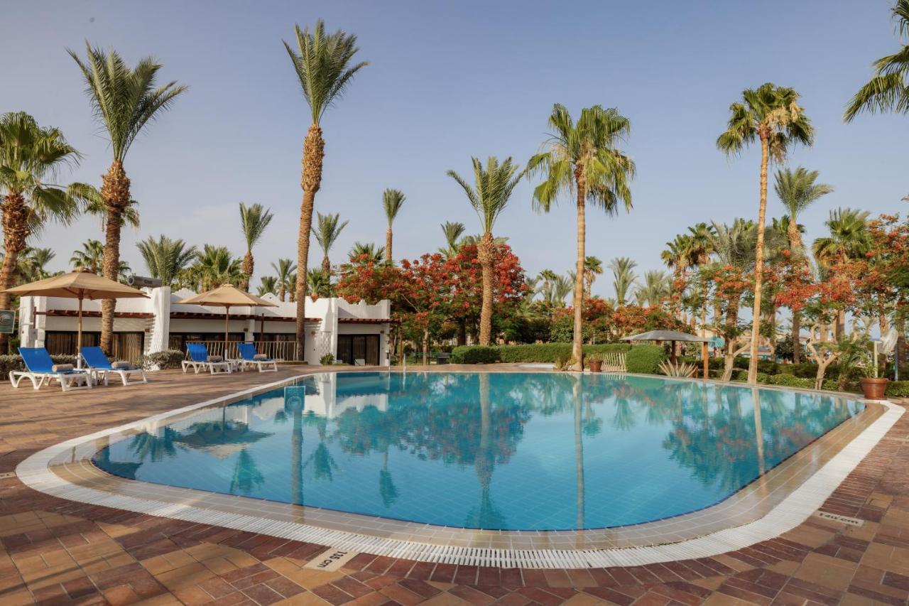 dal travel Jaz Fayrouz Resort