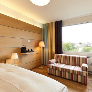 Hotel Steinenschanze Stadthotel cazare Basel