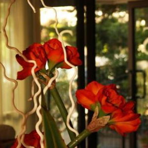 Hotel Hotel Santiago cazare Cervia