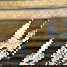 Hotel Dar Tahri cazare Fes