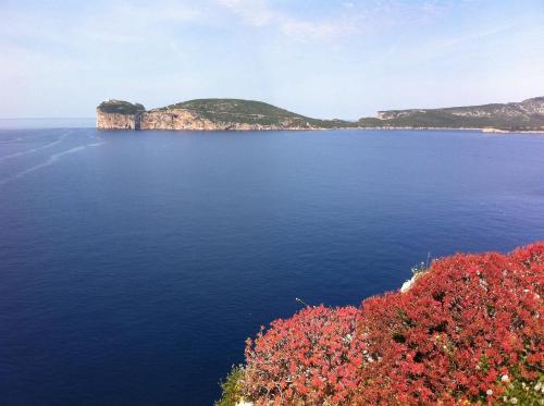 B&B Solelunamare