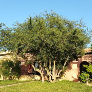Hotel Paradis Nomade cazare Agadir