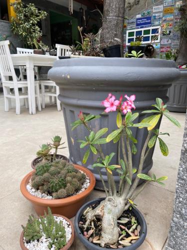 Hotel Village Potira -The Guest House