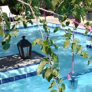 Hotel Villa Dolphins cazare Poros