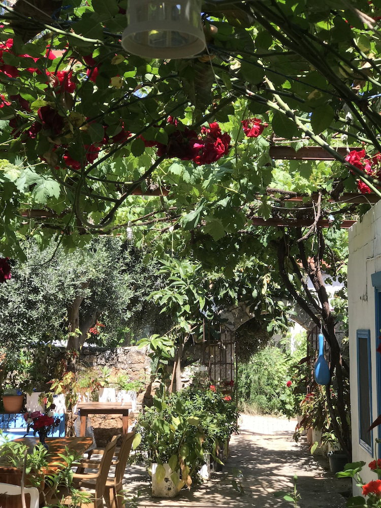 Hotel Likya Pansiyon Demre