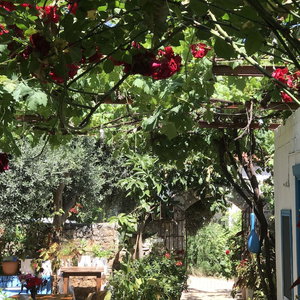 Hotel Likya Pansiyon Demre cazare Demre