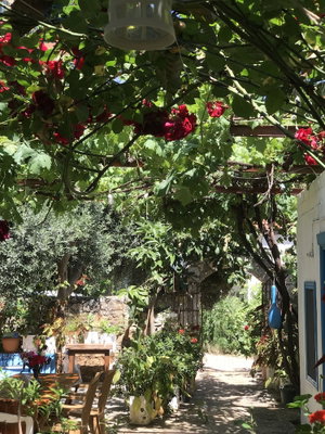 Hotel Likya Pansiyon Demre cazare Demre