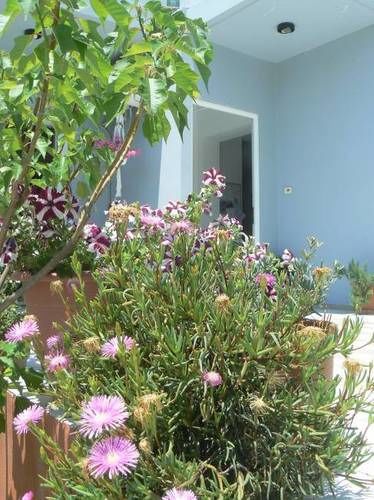 dal travel Silvi Mari Apartments