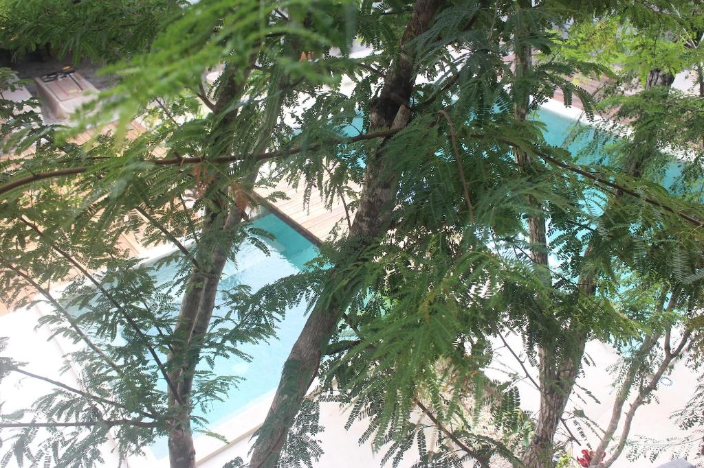 Hotel Little Gem Hotel Tulum La Veleta