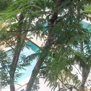 Hotel Little Gem Hotel Tulum La Veleta cazare Tulum