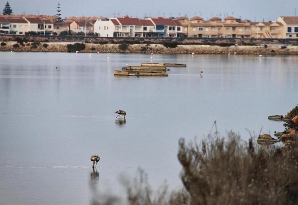Hotel Seaside House In El Mojon