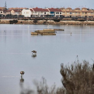 Hotel Seaside House In El Mojon cazare Pilar de la Horadada