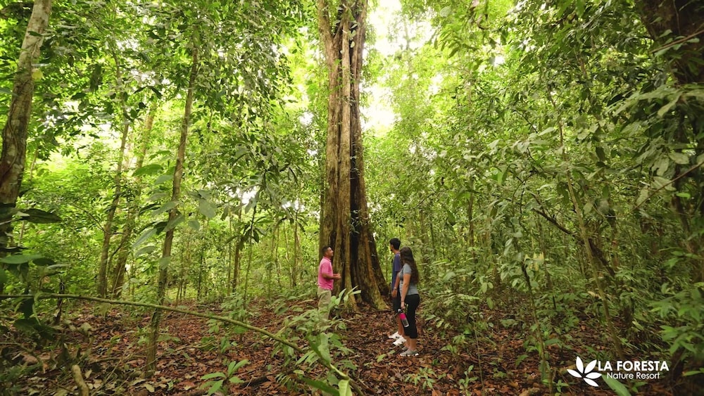 Hotel Rancho Casa Grande