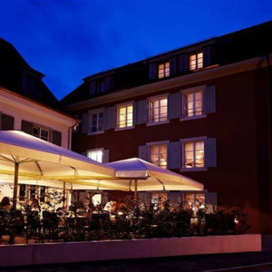 Hotel Hotel Gasthof Zum Ochsen-Arlesheim cazare Basel