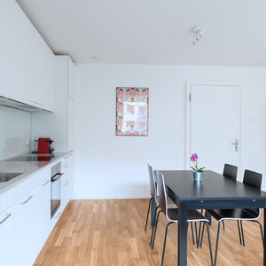 Hotel Bs Fox I - Messe Hitrental Apartment cazare Basel