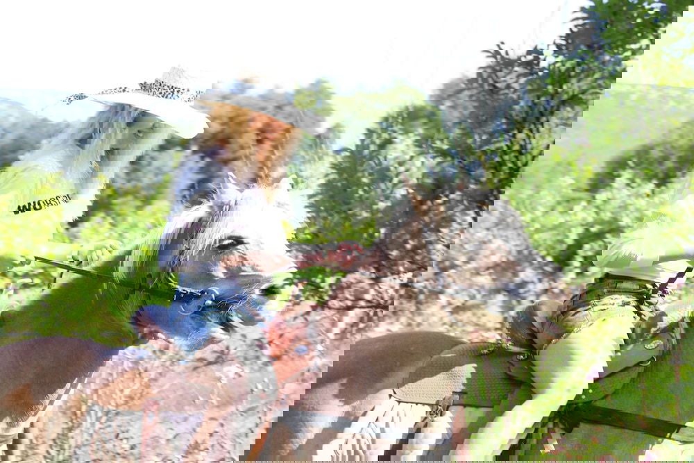 Hotel Mogla Tashan Boutique Otel