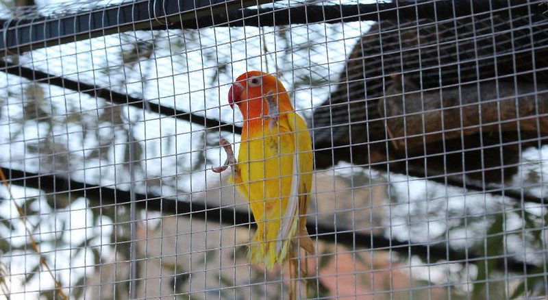 Hotel L'intemporelle Chambre D'hotes