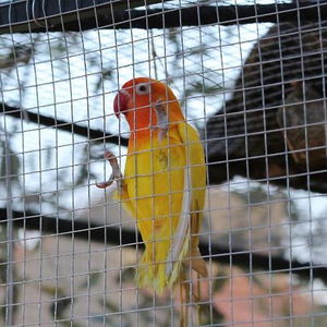 Hotel L'intemporelle Chambre D'hotes cazare Saint-Cyprien