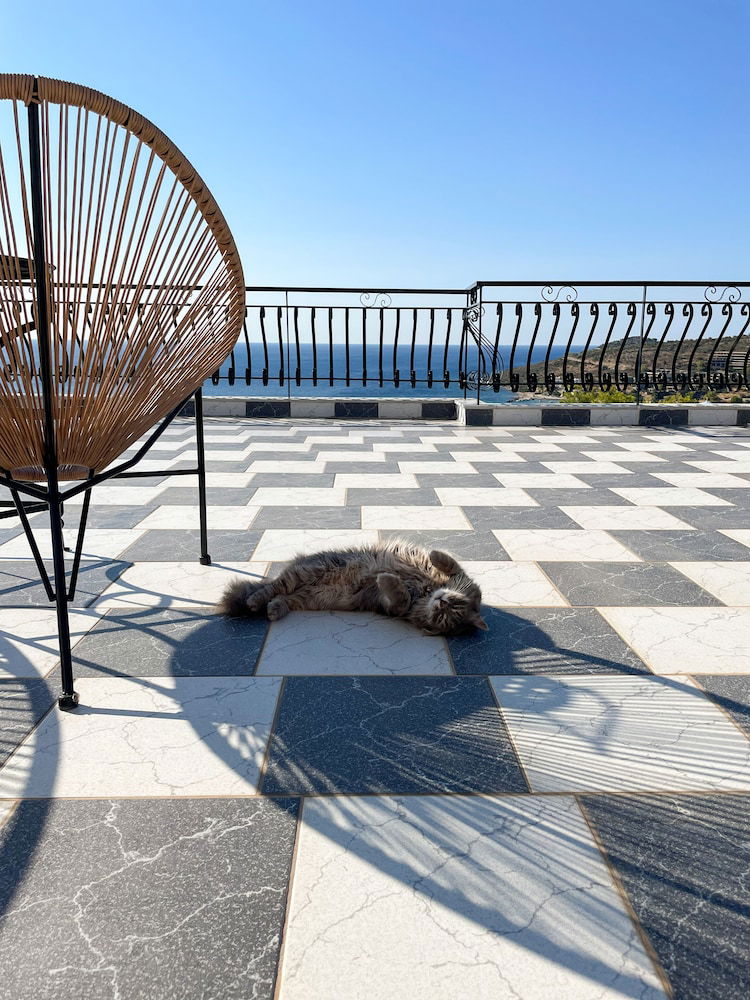 Hotel Pefkides Aegina Boutique Apartments