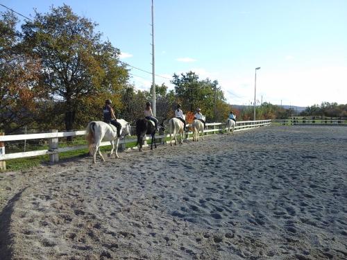 Hotel Kmetija Medljan