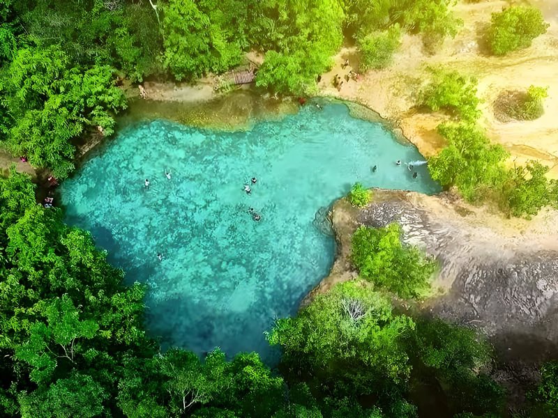 Brown Andaman Krabi