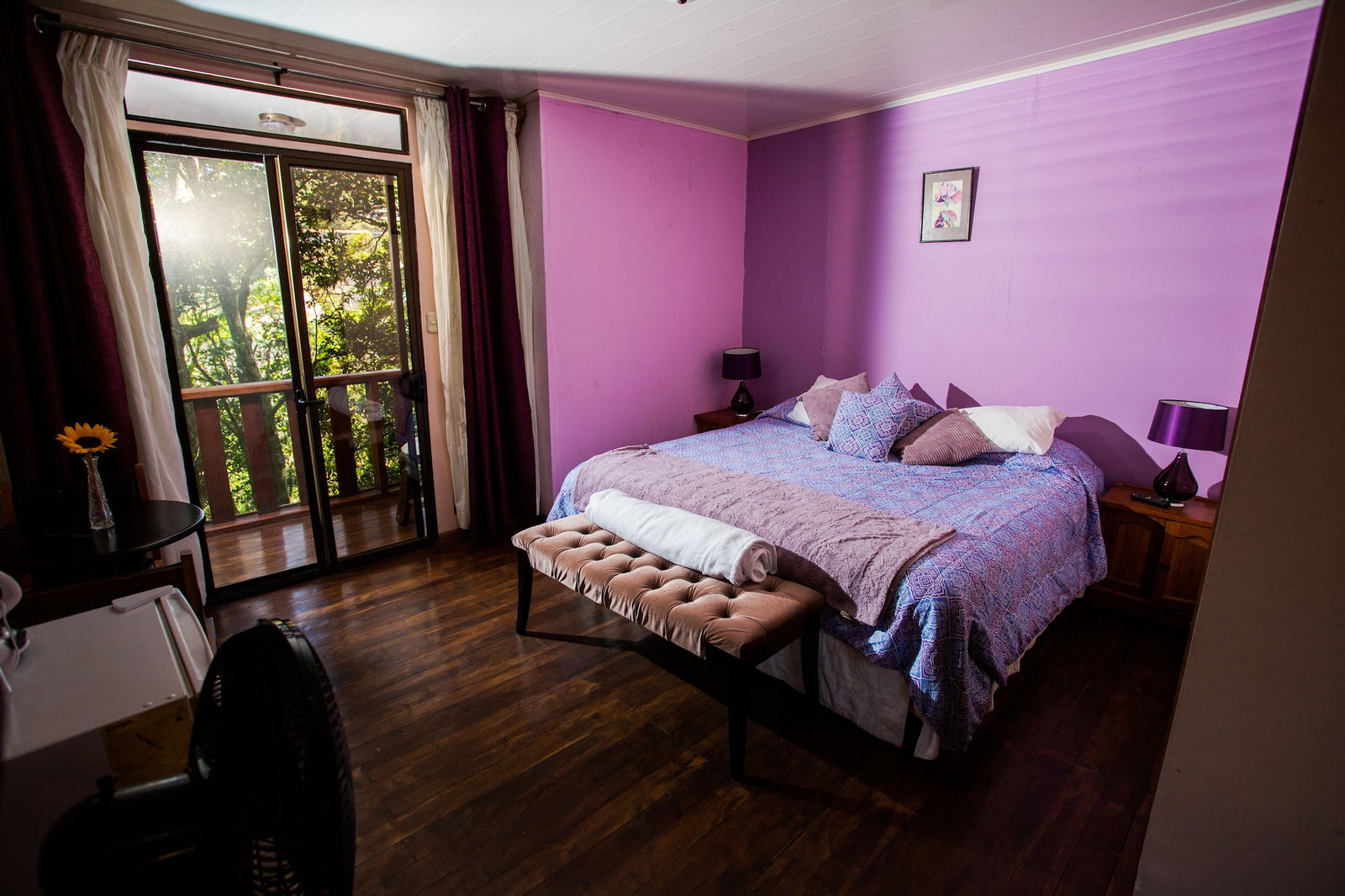 Hotel Jardines De Monteverde Hotel