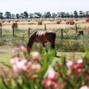 Hotel Herdade Dos Salgados Do Fialho cazare Faro