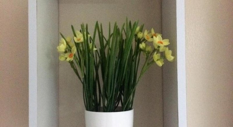 Hotel The Capital Boutique B&B