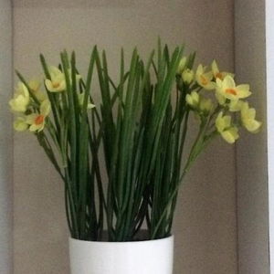 Hotel The Capital Boutique B&B cazare Peniche