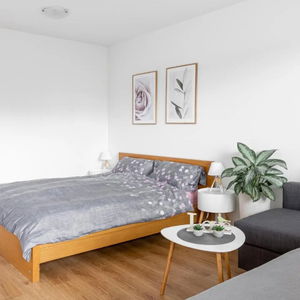 Hotel Apartma Vrtnica 5Th Floor cazare Nova Gorica