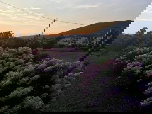 Hotel Apartment Nova Gorica - Nočitve Falco