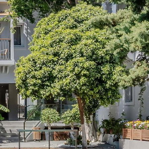 Hotel Hotel Centro cazare Bodrum