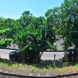 Hotel Osanda Guest cazare Bentota