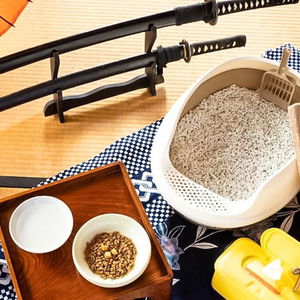 Hotel Guesthouse Irodori Kamakura cazare Kanagawa