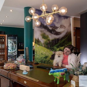 Hotel Allgovia cazare Wangen