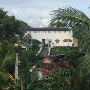 Hotel White Baby Beach Rest cazare Hikkaduwa