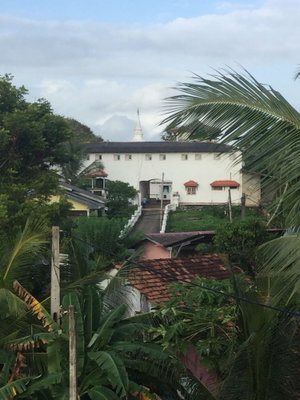 Hotel White Baby Beach Rest cazare Hikkaduwa