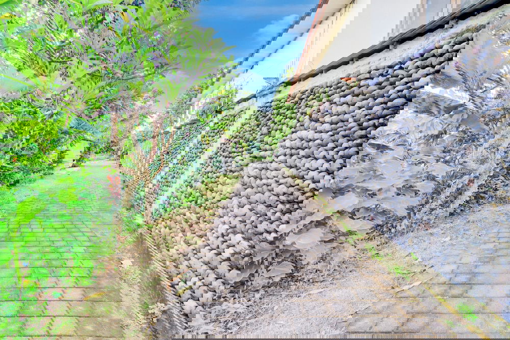 Hotel Capital O 94432 Putri Inn Homestay