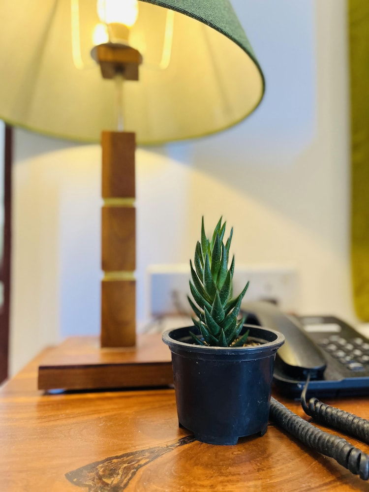 Hotel J Leaf Hotel By Blue Bird