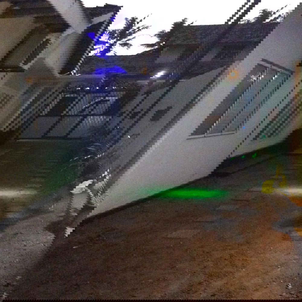 Hotel Jurys Bungalow