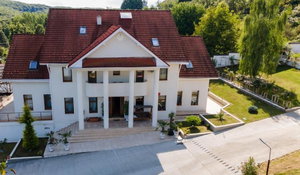 Hotel Pensiunea Virginia Gardens cazare Baile Govora