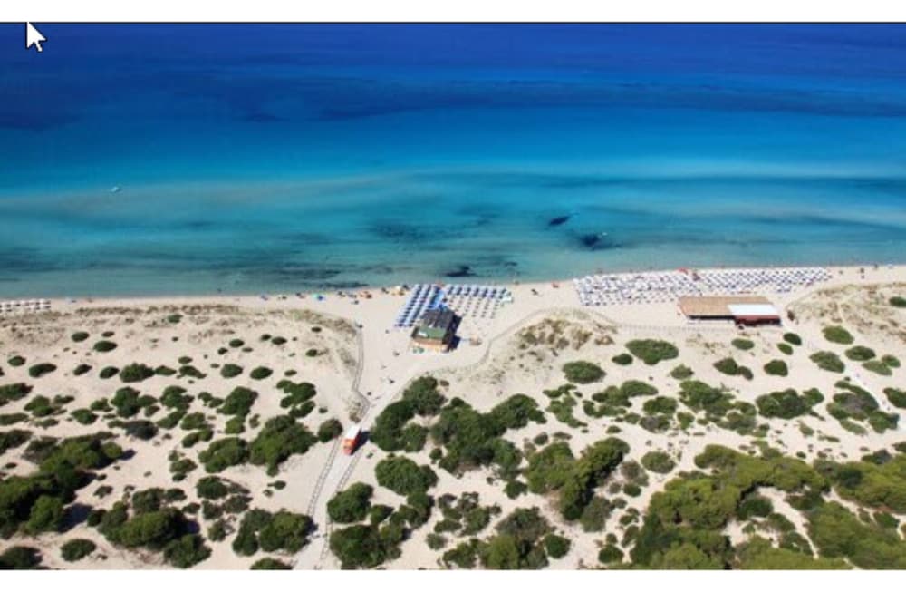 Hotel Hotel Club Astor