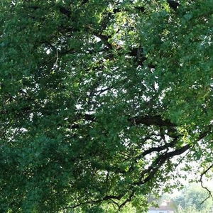 Hotel Manoir Saint Clair cazare Balma